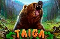 Taiga